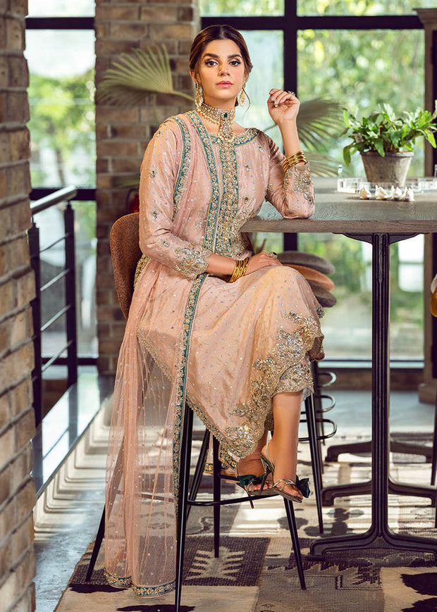 Designer Raw Silk Blue Salwar Kameez Pakistani Party Dresses – Nameera by  Farooq